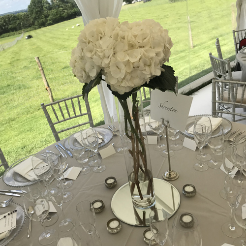 Mirror plates
