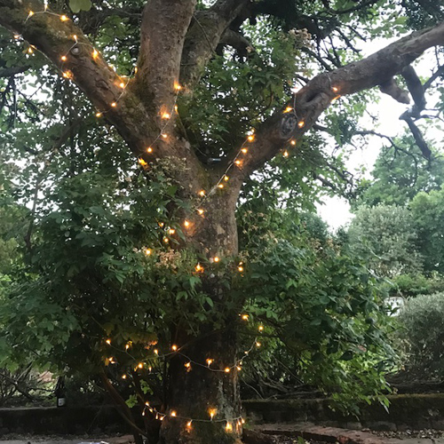 Outdoor fairy lights battery powered