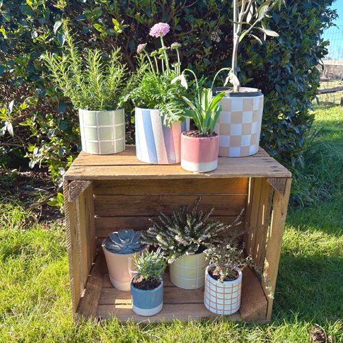 Plant pot hire