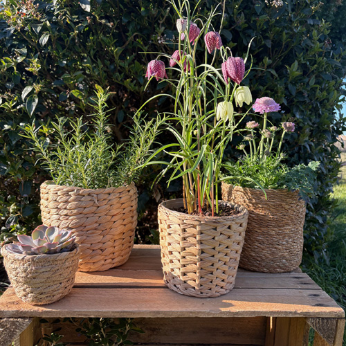Woven plant pot seagrass raffia